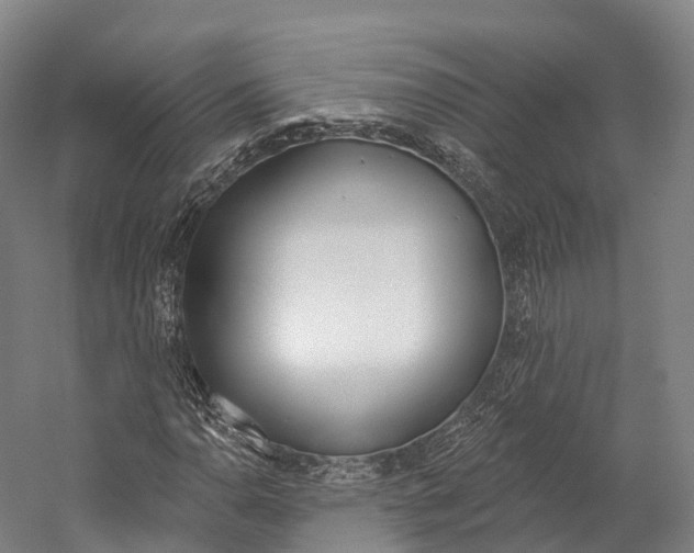 X0000060271110200510281028
