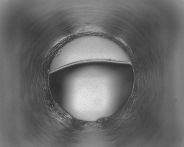 X0000060271112200510281028
