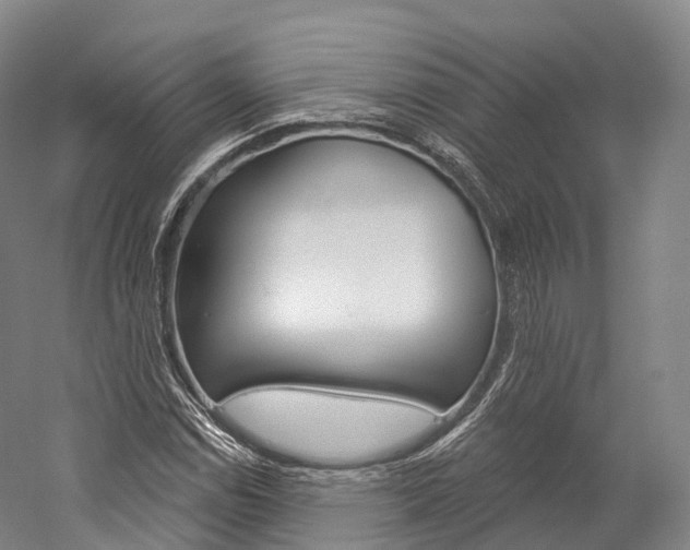 X0000060271114200510281028