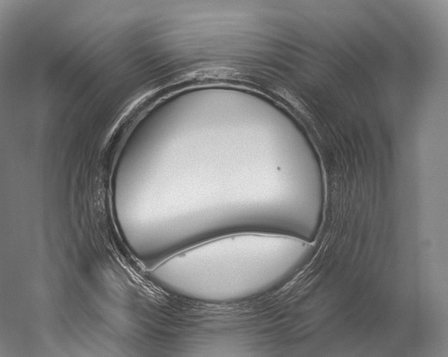 X0000060271115200510281028