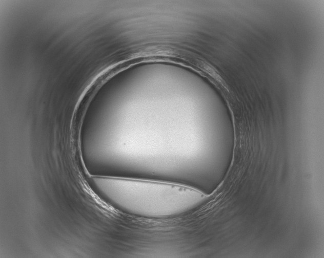 X0000060271116200510281028