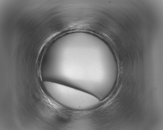 X0000060271117200510281028