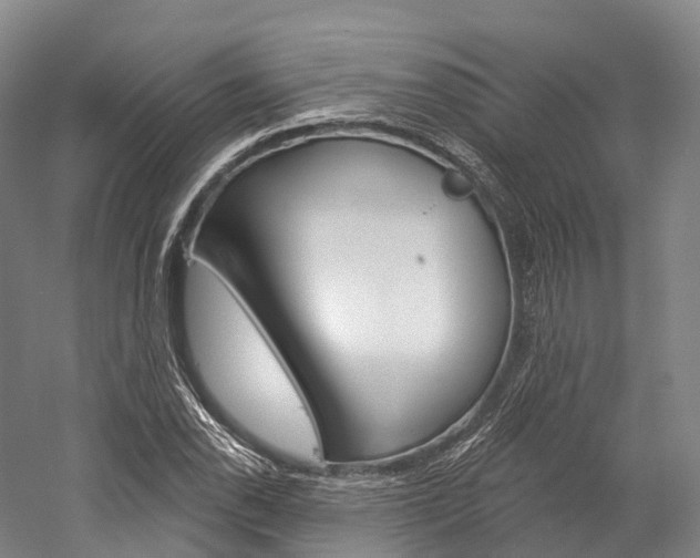 X0000060271118200510281028