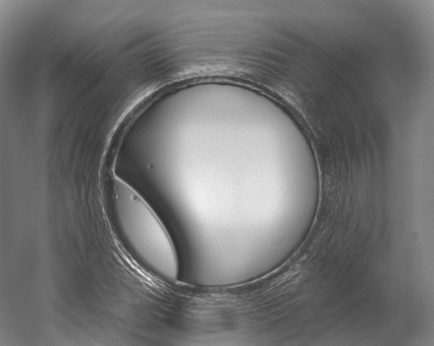 X0000060271119200510281028