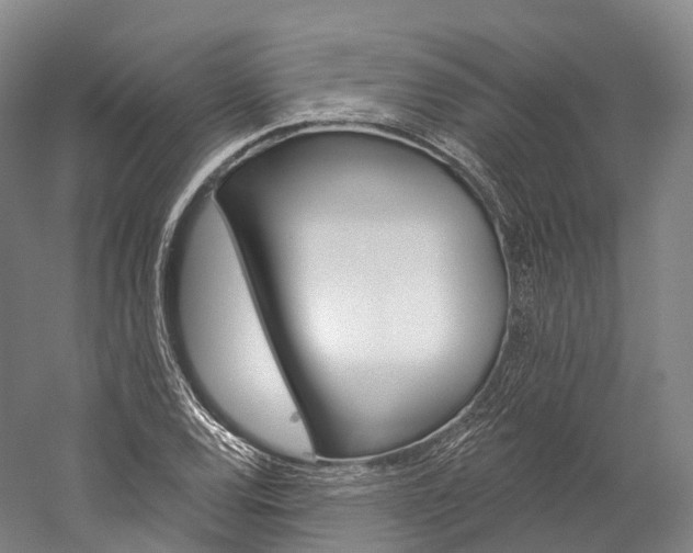 X0000060271120200510281028