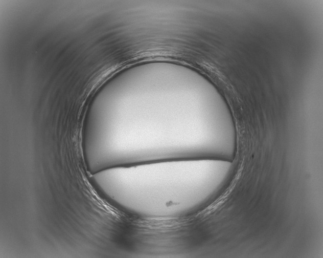 X0000060271121200510281028