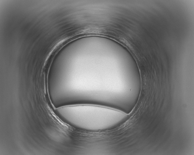 X0000060271123200510281028
