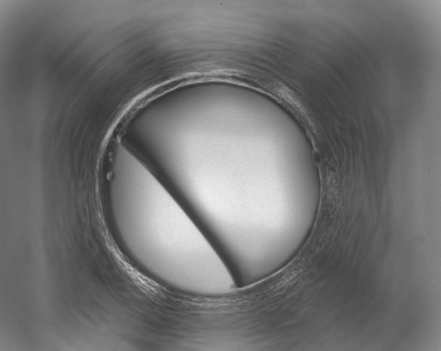 X0000060271124200510281028