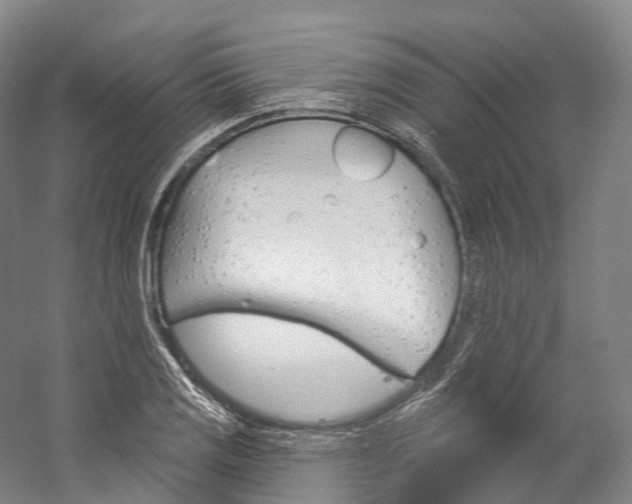 X0000060271125200510281028