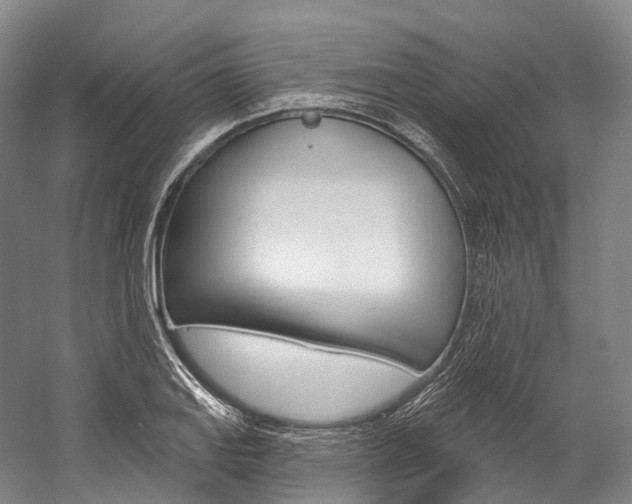 X0000060271127200510281028