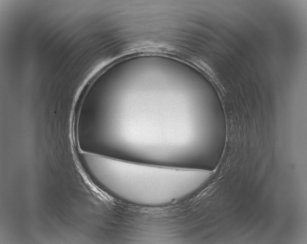 X0000060271128200510281028