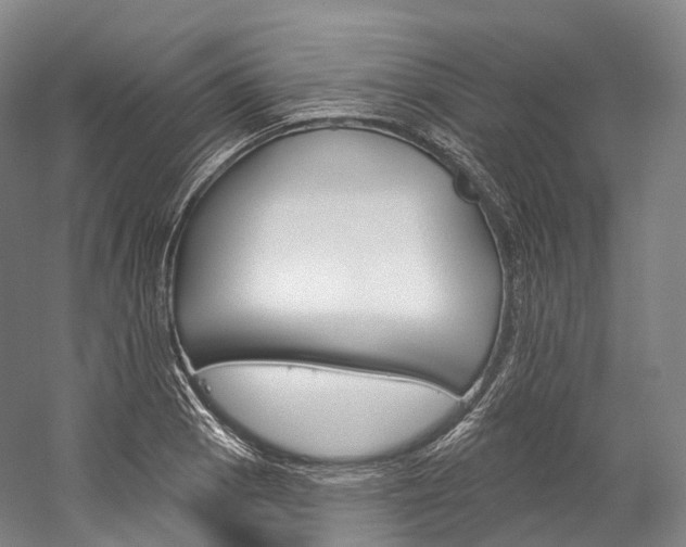 X0000060271129200510281028