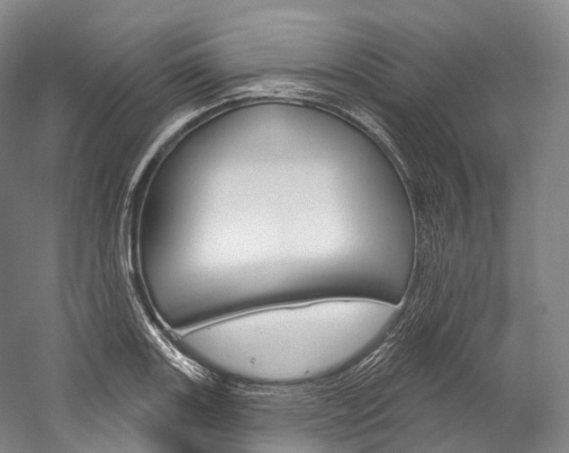 X0000060271131200510281028