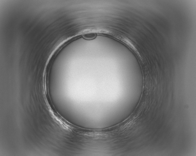 X0000060271132200510281028