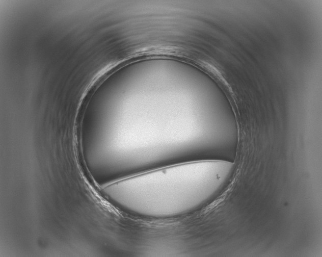 X0000060271133200510281028