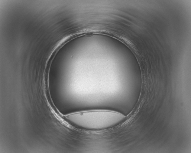 X0000060271134200510281028