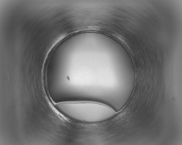 X0000060271135200510281028