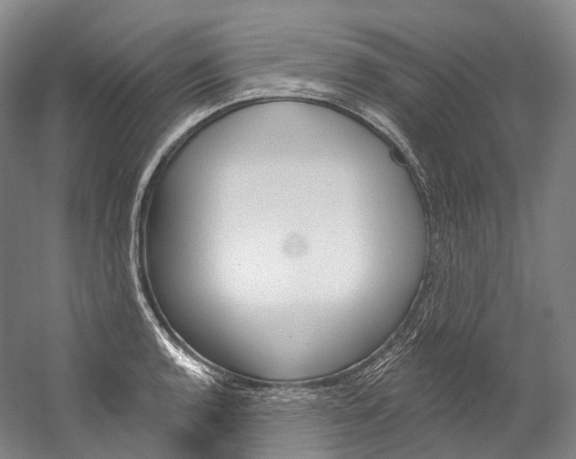 X0000060271136200510281028