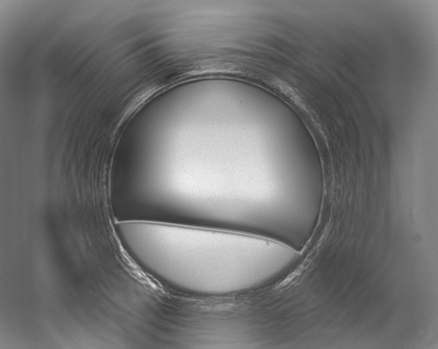 X0000060271137200510281028
