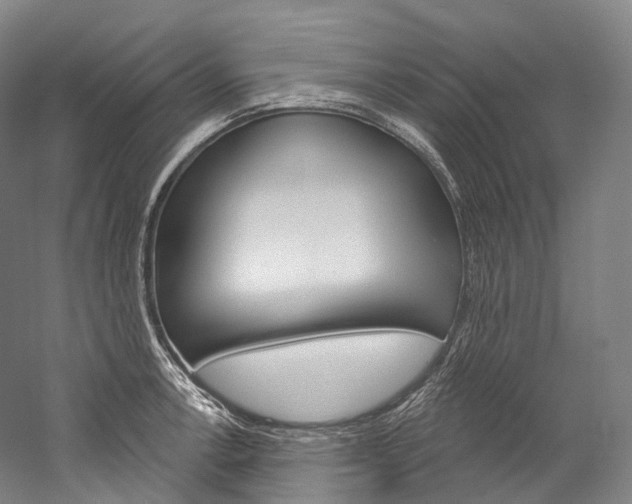 X0000060271138200510281028