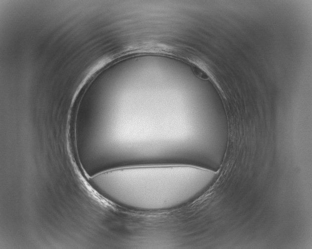 X0000060271139200510281028
