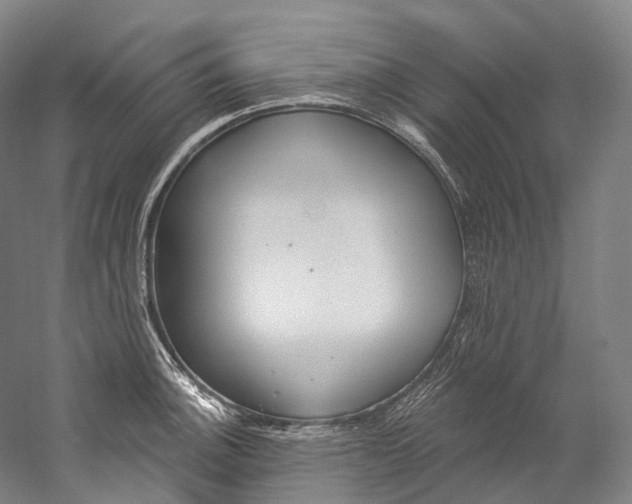 X0000060271140200510281028