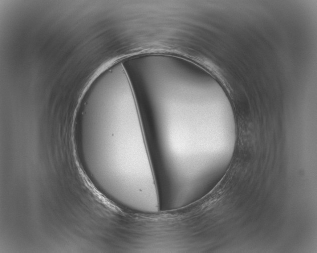X0000060271142200510281028