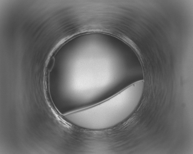 X0000060271144200510281028