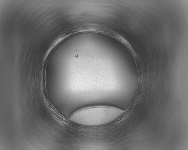 X0000060271146200510281028