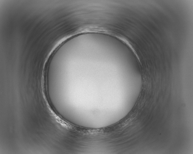 X0000060271147200510281028