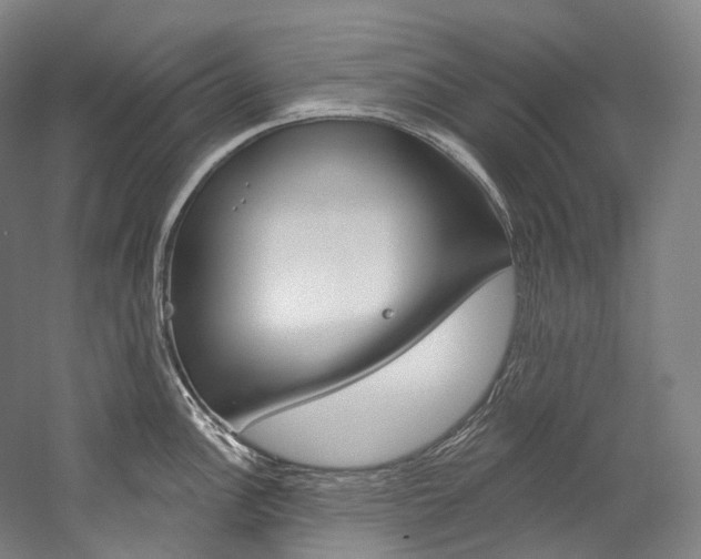 X0000060271148200510281028