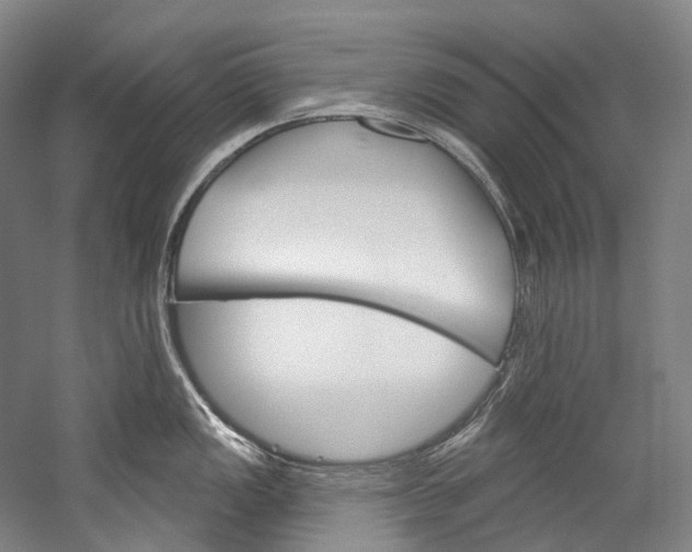 X0000060271149200510281028