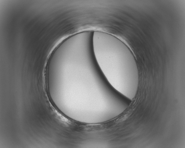 X0000060271151200510281028