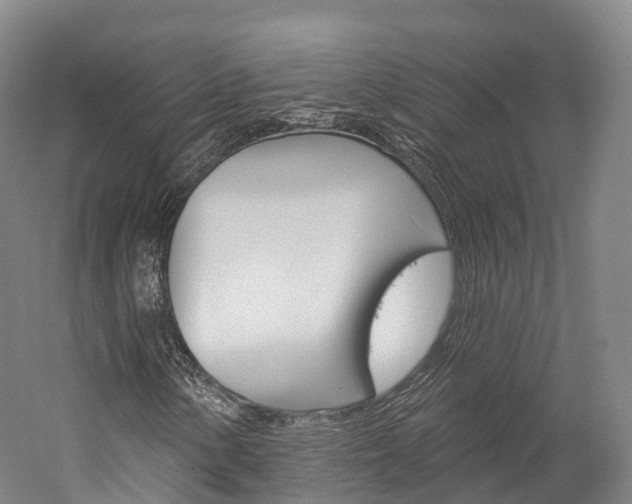 X0000060271154200510281028