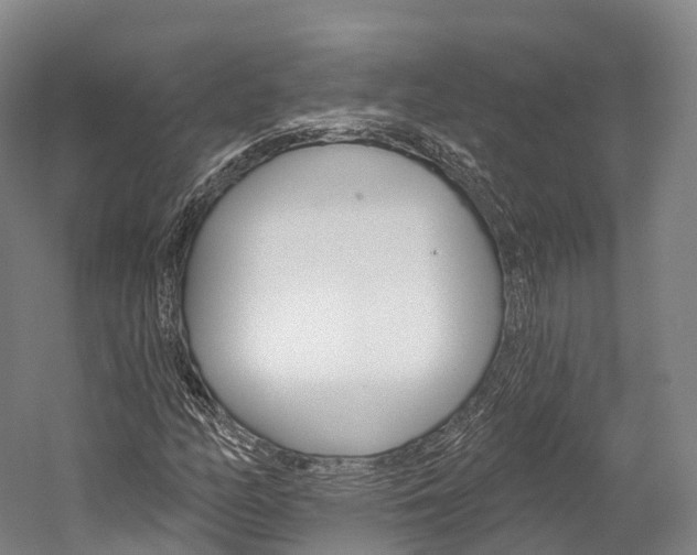 X0000060271158200510281027