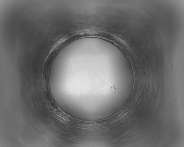 X0000060271160200510281027