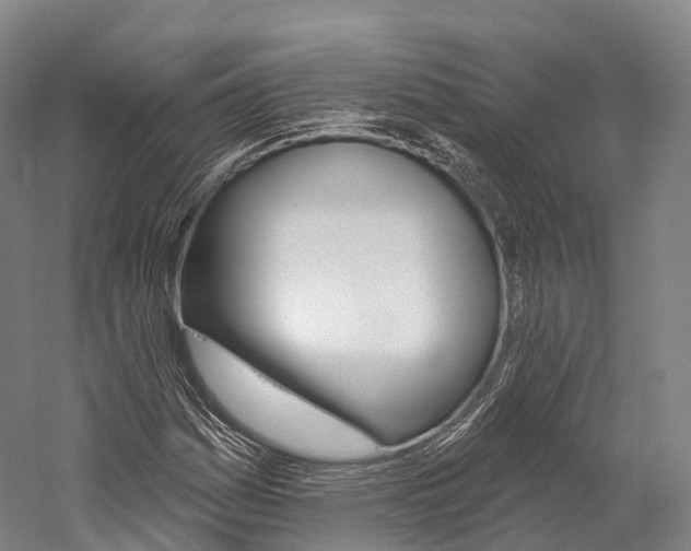X0000060271161200510281027
