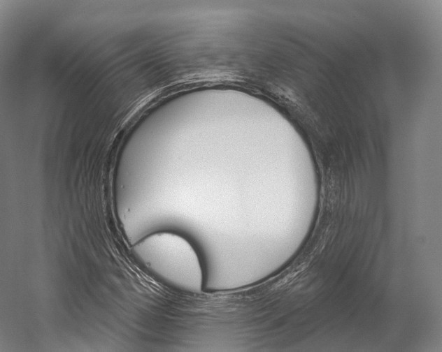 X0000060271162200510281027