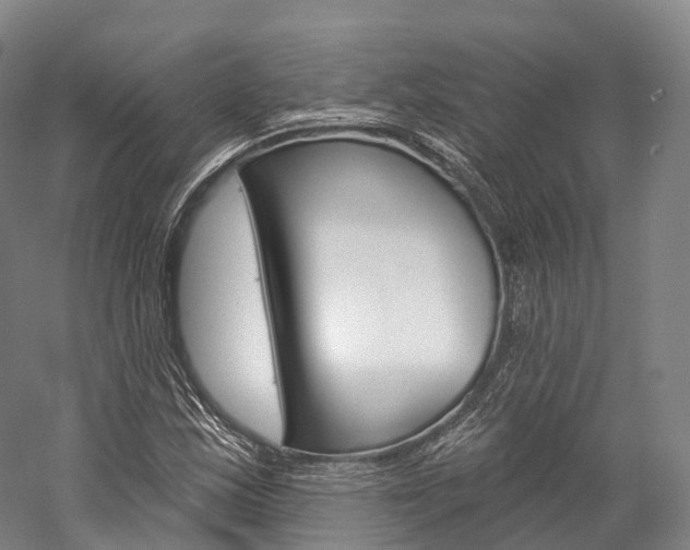 X0000060271163200510281027