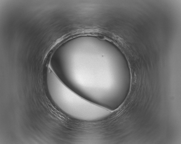 X0000060271165200510281027