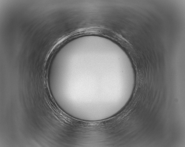 X0000060271166200510281027