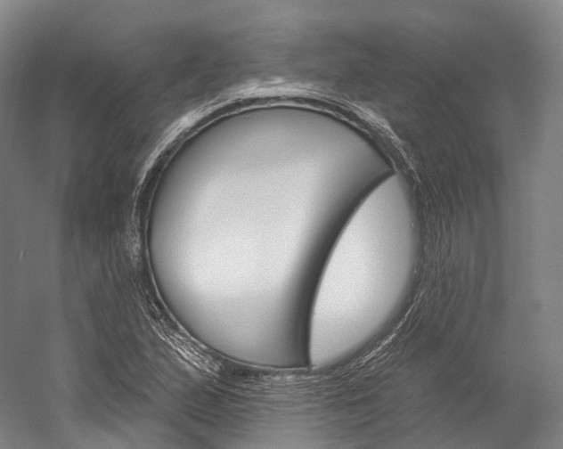 X0000060271167200510281027