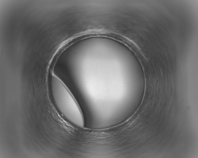 X0000060271168200510281027