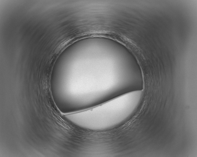 X0000060271169200510281027