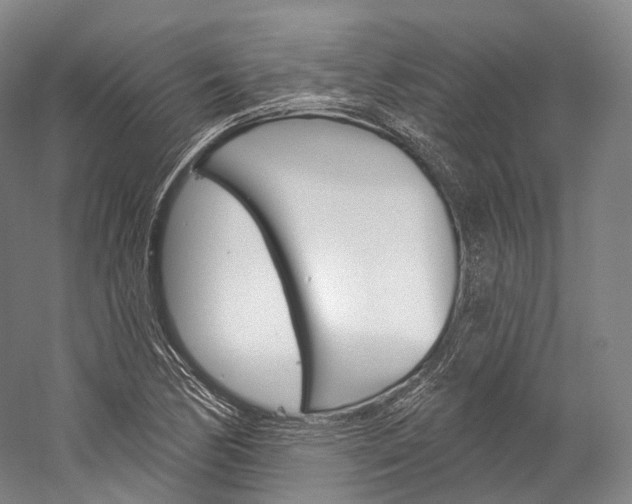 X0000060271170200510281027