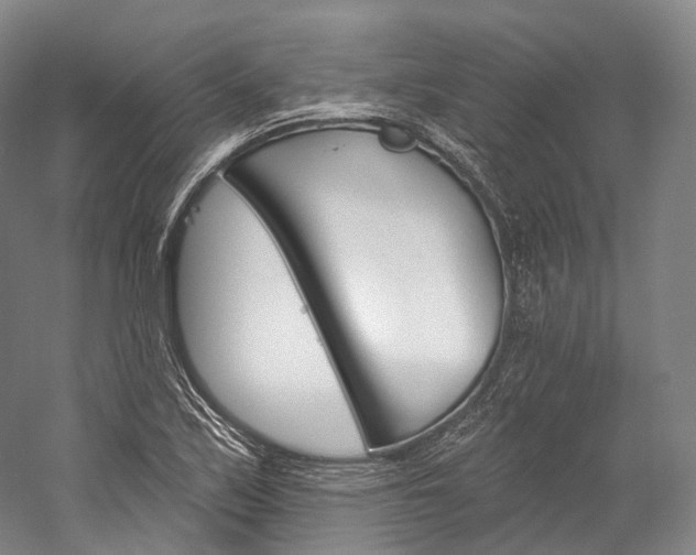 X0000060271171200510281027