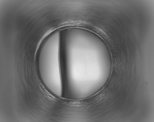 X0000060271172200510281027