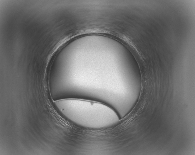 X0000060271173200510281027