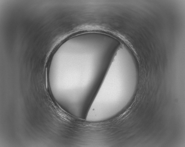 X0000060271175200510281027