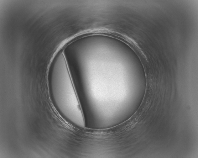 X0000060271176200510281027